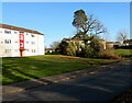 Trees and flats, Edison Ridge, Malpas, Newport