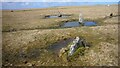 SX1377 : Stone Circle on King Arthur's Down by Sandy Gerrard