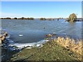 TF3902 : Winter flooding on the washland near Rings End - The Nene Washes by Richard Humphrey