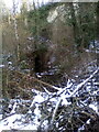 Tunnel in Grays Gorge