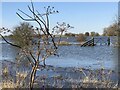 TF3802 : Winter time flooding - The Nene Washes by Richard Humphrey