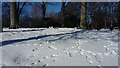 NZ2465 : Mini Snowmen, Leazes Park by Les Hull
