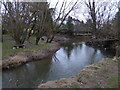 Gardens bordering the Rea Brook in Belle Vue, Shrewsbury