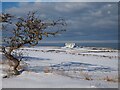 NT7572 : Looking towards Torness in the Snow by Jennifer Petrie