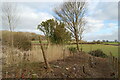 The Ancient Technology Centre Cranborne