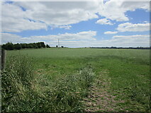 W4872 : Grass field, Fergus by Jonathan Thacker