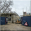 Vinery Road: more houses taking shape