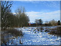 Snowy ground next to Bartonhall Road, Waterloo