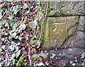 Ordnance Survey Cut Mark