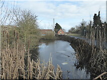 SO8658 : Pond by Hindlip Lane by Chris Allen