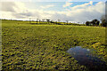 A wet field, Tullyvally