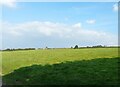 SJ9693 : Rye Field by Gerald England