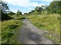 Footpath, Stella Gill Flatts