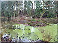 Artificial island in Lingcroft Pool