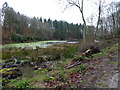 View of Lingcroft Pool