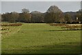 Grassy airstrip