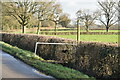 Footpath off Barham