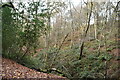 Wooded valley by Barrow Lane