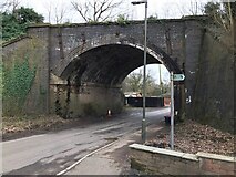 SK4342 : Railway bridge over Mapperley Lane by David Lally