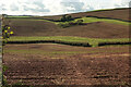 SX8463 : Farmland near Weekaborough by Derek Harper