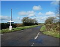 Swing Gate Cross