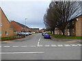 Selsey Close from Chedworth Drive, Warndon, Worcester