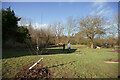 Crosstown Community Orchard Being Planted