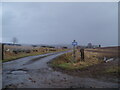 NH6854 : Farm road to Lochala by Douglas Nelson