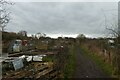 Hempland Lane Allotments