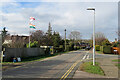 Worts Causeway: Test Match flags