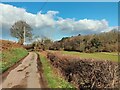 North along Sheepwash Lane