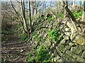 Old Retaining Wall near Collingwood Terrace, Tynemouth