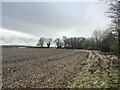 Flat field next to Widmere Farm