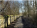 Former towpath of the Manchester Bolton & Bury Canal