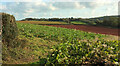 SX8564 : Farmland near Aptor by Derek Harper
