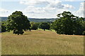 View over the Medway valley