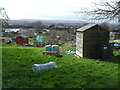 Mount Hill Road allotments