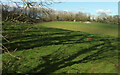 SX8865 : Field near Cockington Woods Farm by Derek Harper