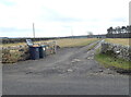 Driveway to Belsay Dene House Farm