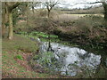 Pond at the end of Crossleaze Road