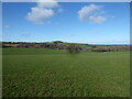 Looking back down the footpath line across fields