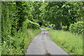 Narrow Sussex Lane