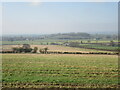 Riseborough Hill view 2