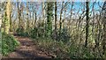 Craig-y-Parcau Local Nature Reserve Trail