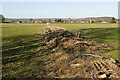 Flood damaged fence, Rotherford