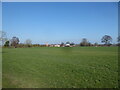 View across a field towards Lower Fenemere Farm