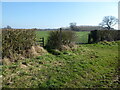 Stile and fingerpost in the hedgerow near Fenemere Farm