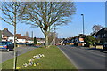 Spring on Banners Gate Road again - Sutton Coldfield, West Midlands