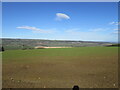 View from Yearsley Moor Road