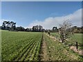 Arable field on the Hogs Back